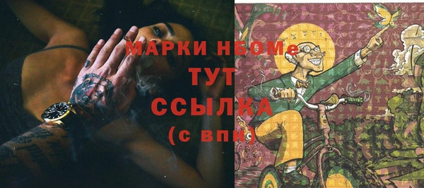 гашик Алексеевка