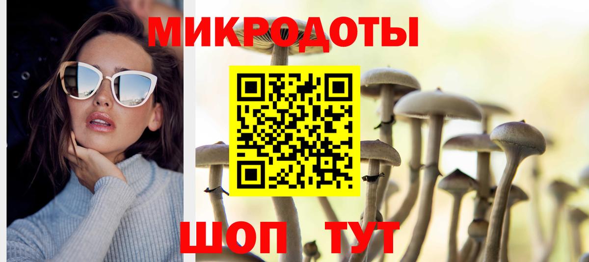 Псилоцибиновые грибы Psilocybe  Вход с VPN  Псилоцибиновые грибы Psilocybine cubensis  Новочебоксарск 